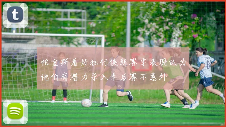 帕金斯看好独行侠新赛季表现认为他们有潜力杀入季后赛不意外
